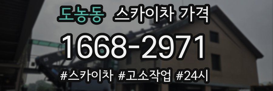 도농동 스카이차 가격