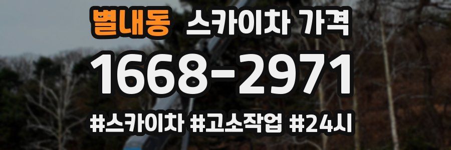 별내동 스카이차 가격