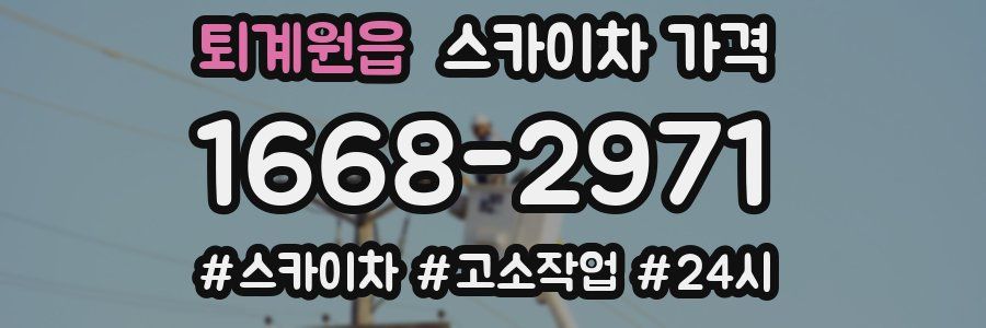 퇴계원읍 스카이차 가격