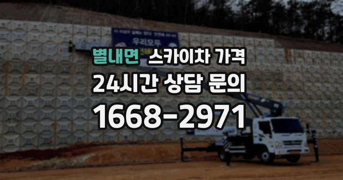 별내면 스카이차 가격