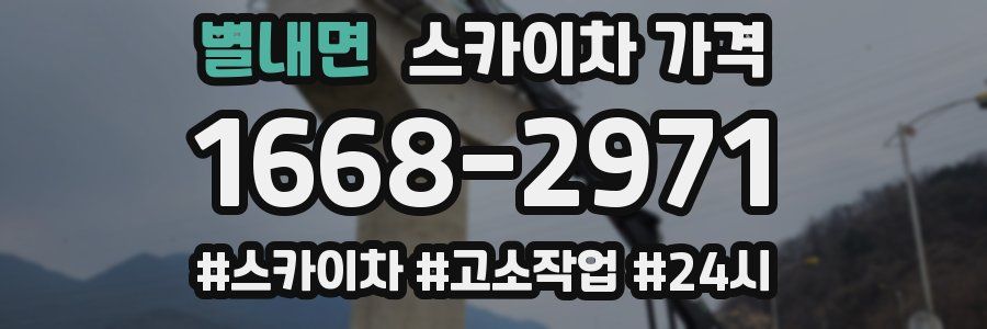 별내면 스카이차 가격