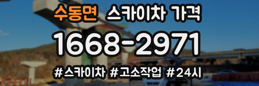 수동면 스카이차 가격