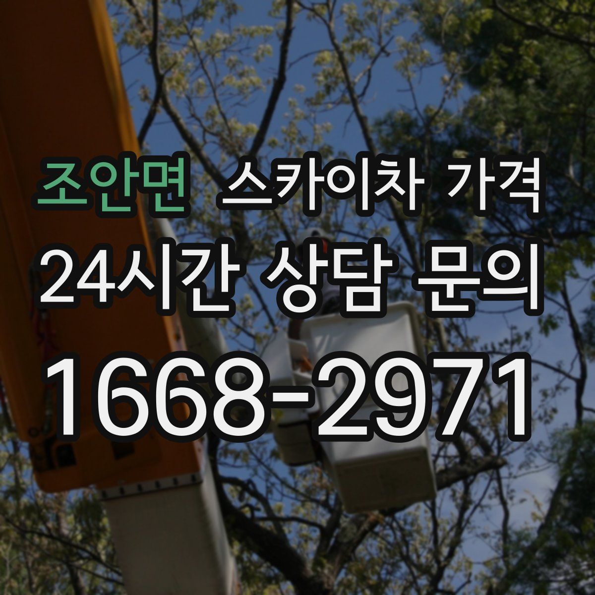 조안면 스카이차 가격