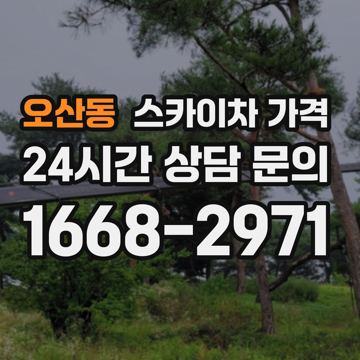 오산동 스카이차 가격