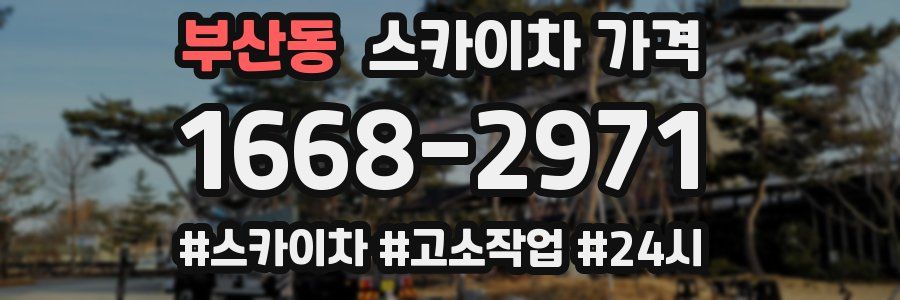 부산동 스카이차 가격