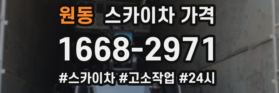 원동 스카이차 가격