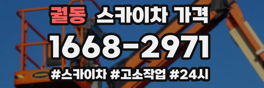 궐동 스카이차 가격