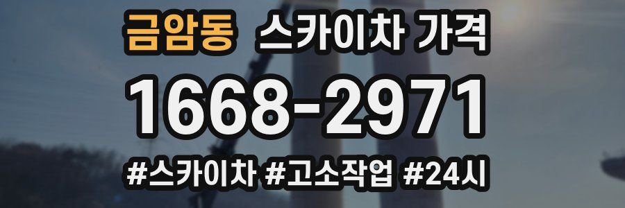 금암동 스카이차 가격