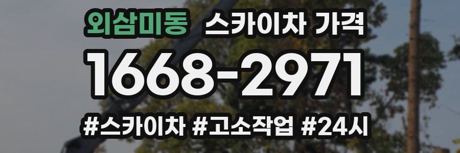 외삼미동 스카이차 가격