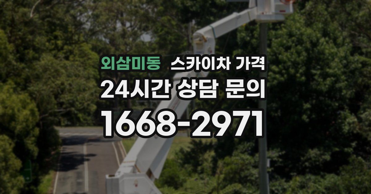 외삼미동 스카이차 가격