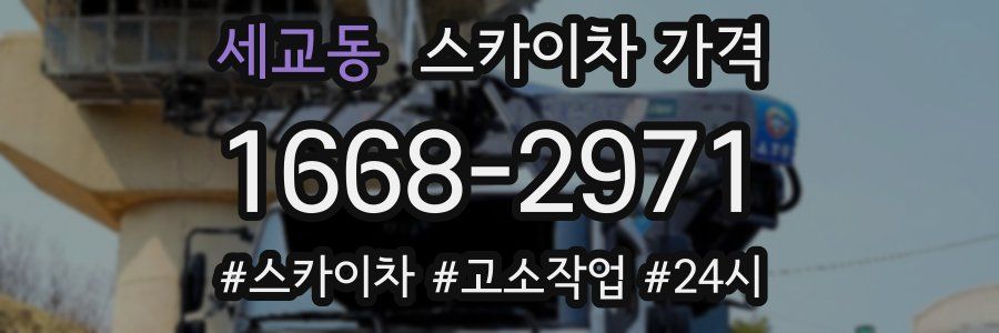 세교동 스카이차 가격