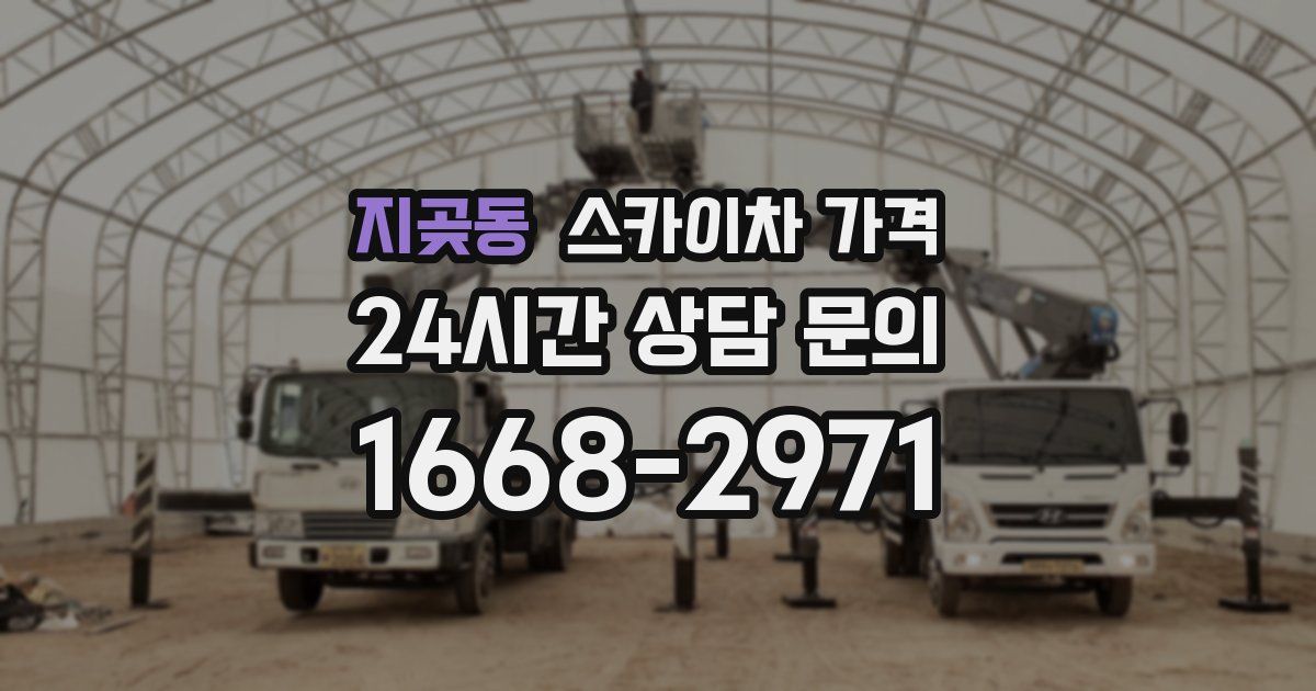 지곶동 스카이차 가격