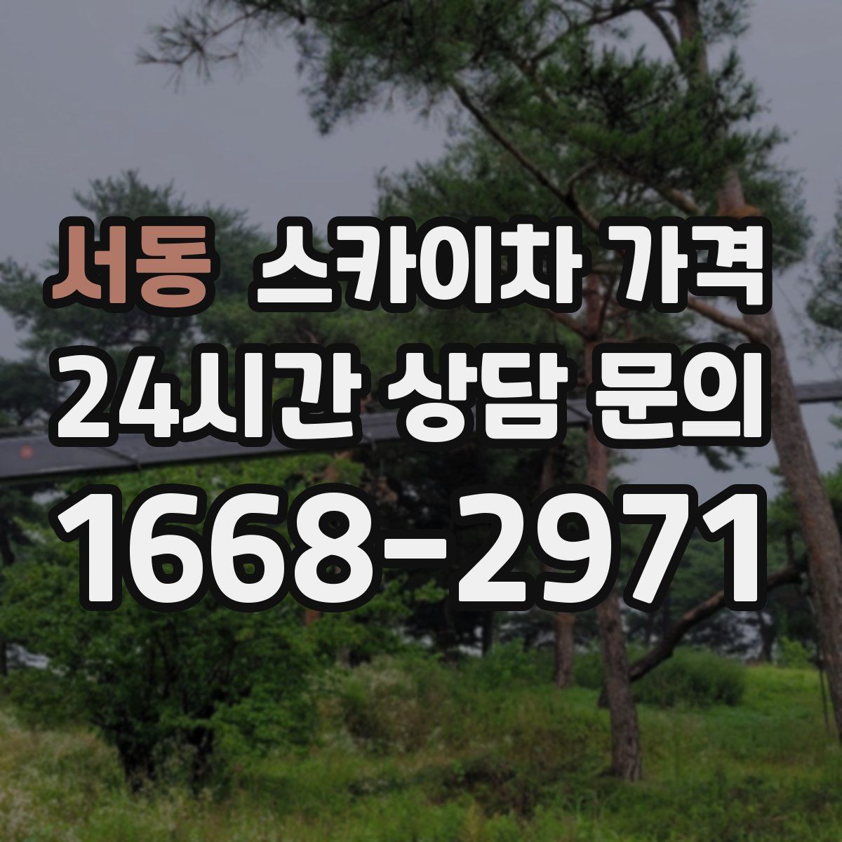 서동 스카이차 가격