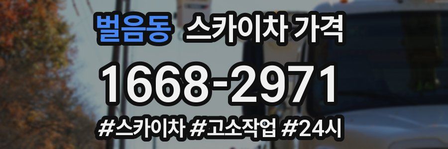 벌음동 스카이차 가격