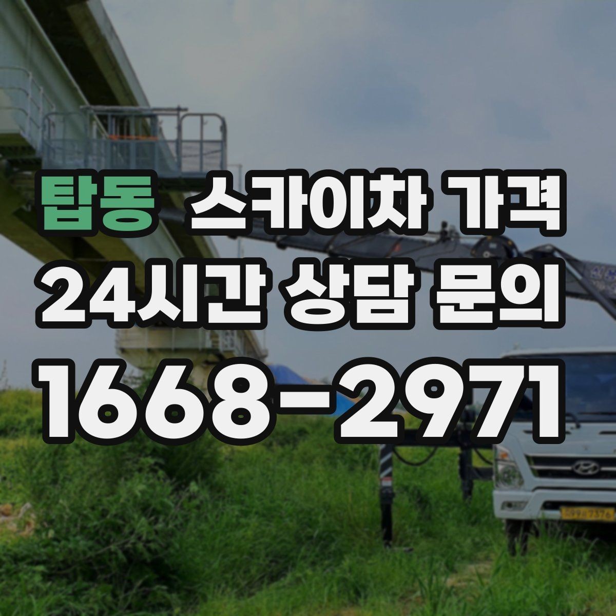 탑동 스카이차 가격 적정 견적을 판단하는 현실적인 기준