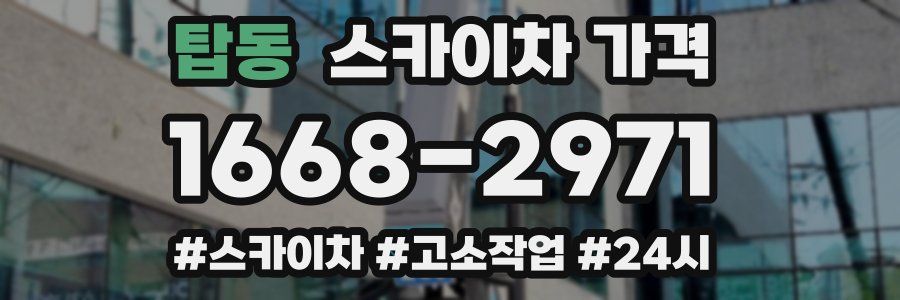 탑동 스카이차 가격