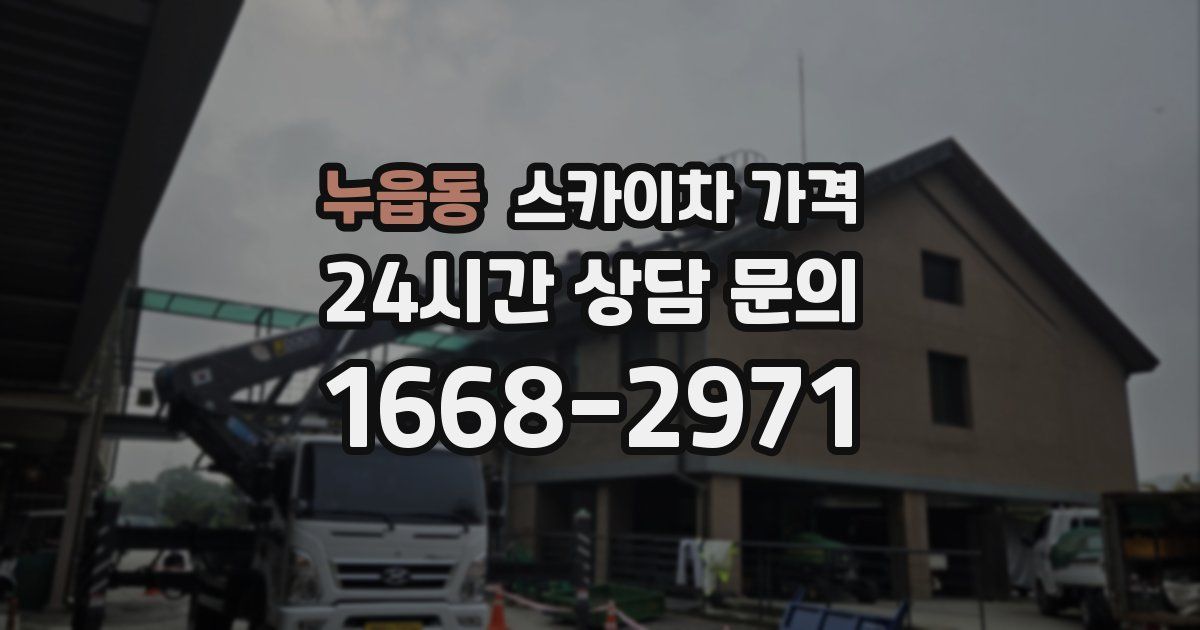 누읍동 스카이차 가격