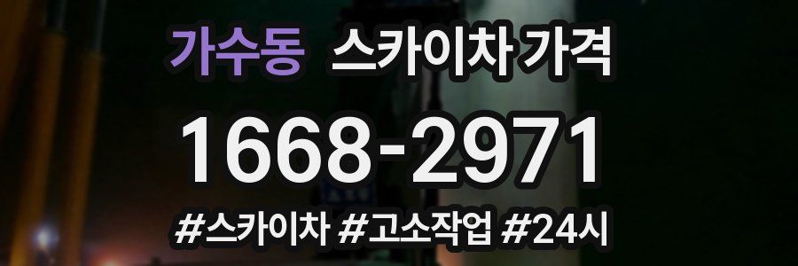 가수동 스카이차 가격