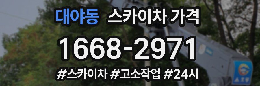 대야동 스카이차 가격