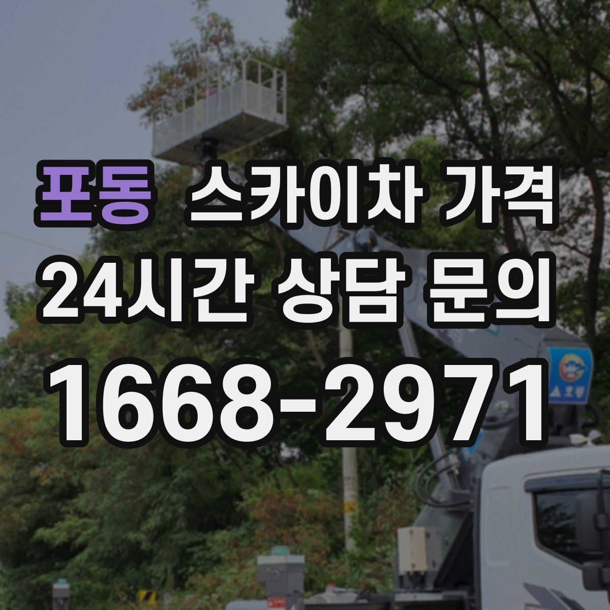 포동 스카이차 가격