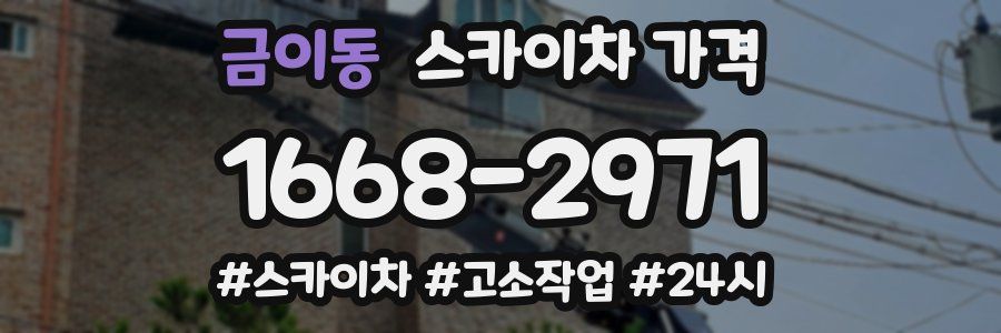 금이동 스카이차 가격