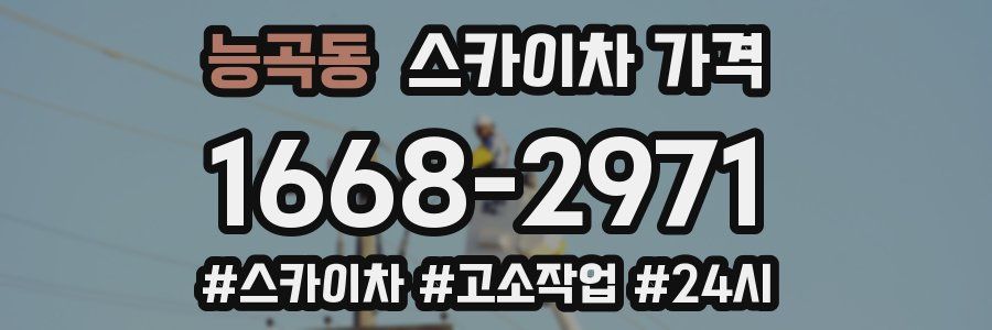 능곡동 스카이차 가격