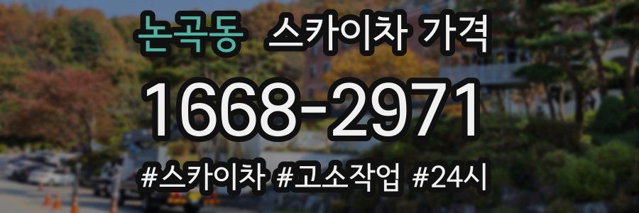 논곡동 스카이차 가격