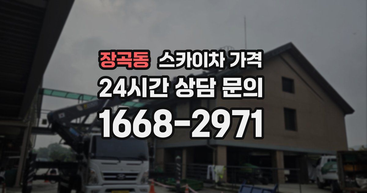 장곡동 스카이차 가격