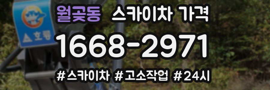 월곶동 스카이차 가격