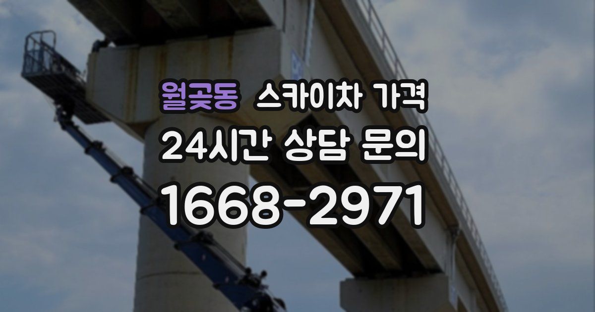 월곶동 스카이차 가격