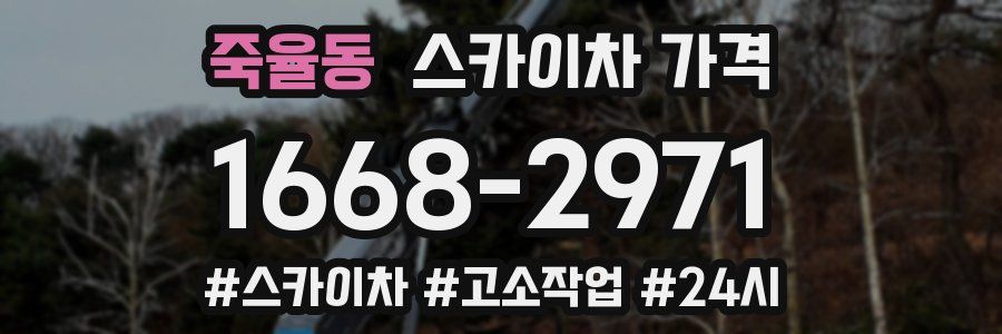 죽율동 스카이차 가격