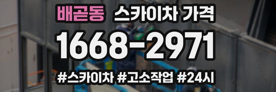 배곧동 스카이차 가격