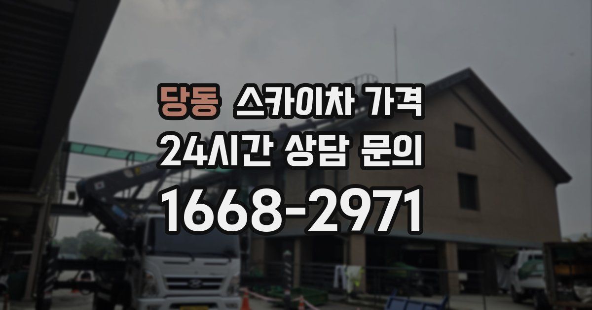 당동 스카이차 가격