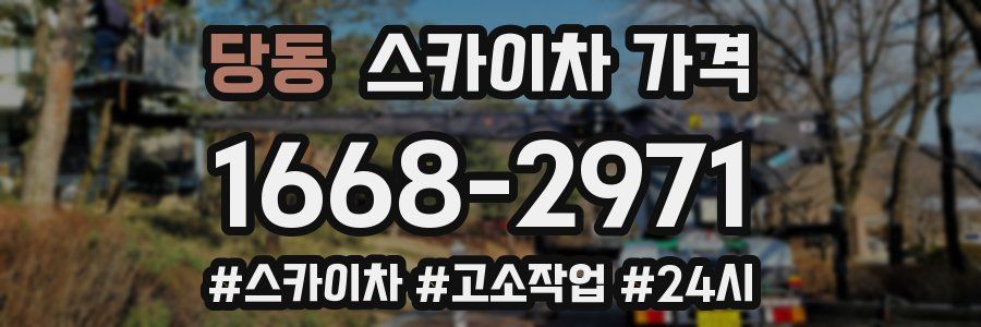 당동 스카이차 가격