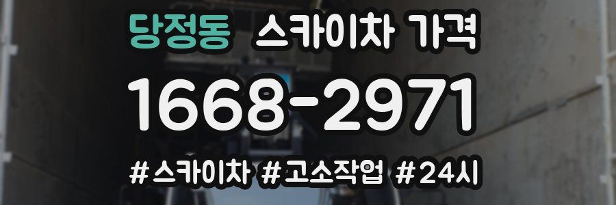 당정동 스카이차 가격