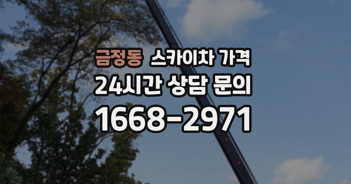 금정동 스카이차 가격