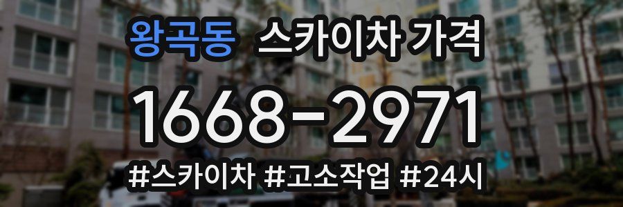 왕곡동 스카이차 가격