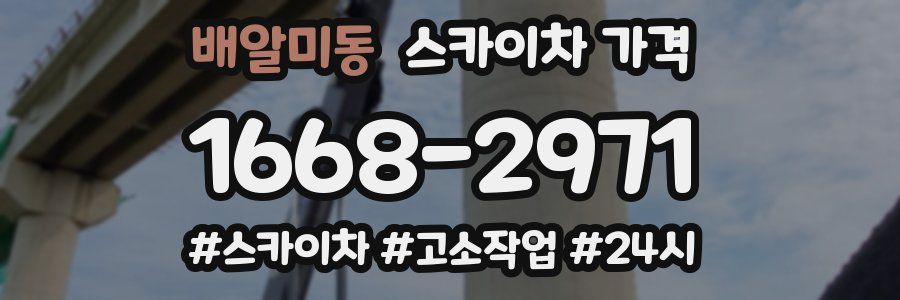 배알미동 스카이차 가격