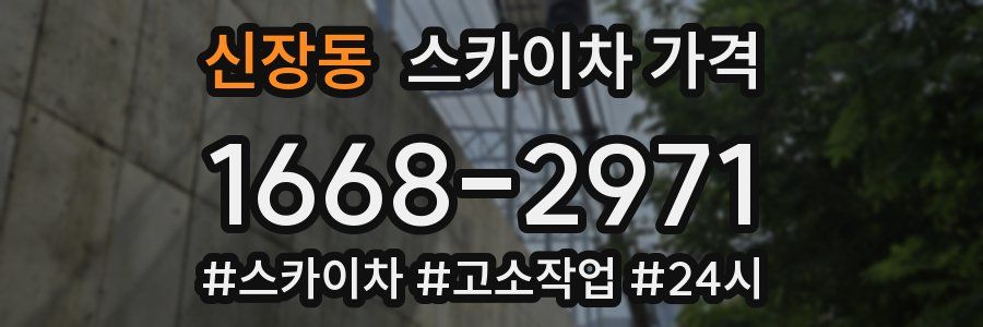 신장동 스카이차 가격