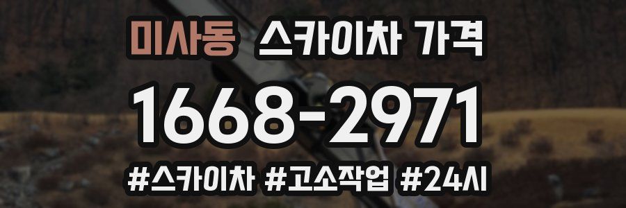 미사동 스카이차 가격