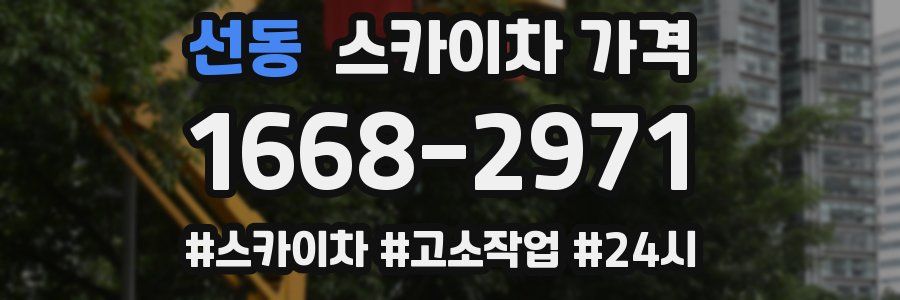 선동 스카이차 가격