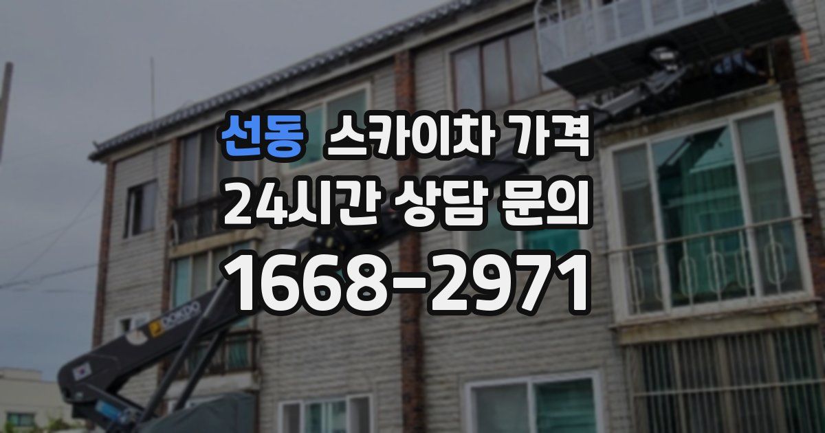 선동 스카이차 가격