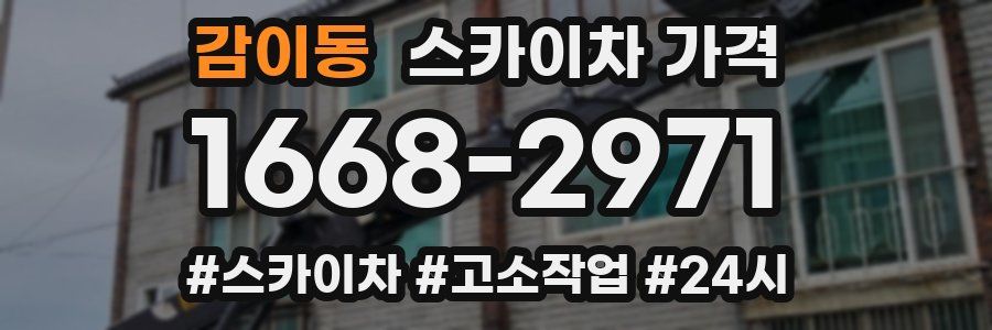 감이동 스카이차 가격