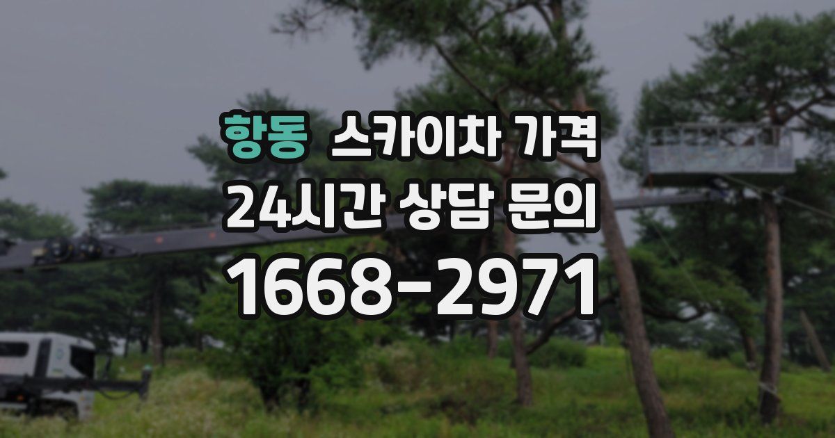 항동 스카이차 가격