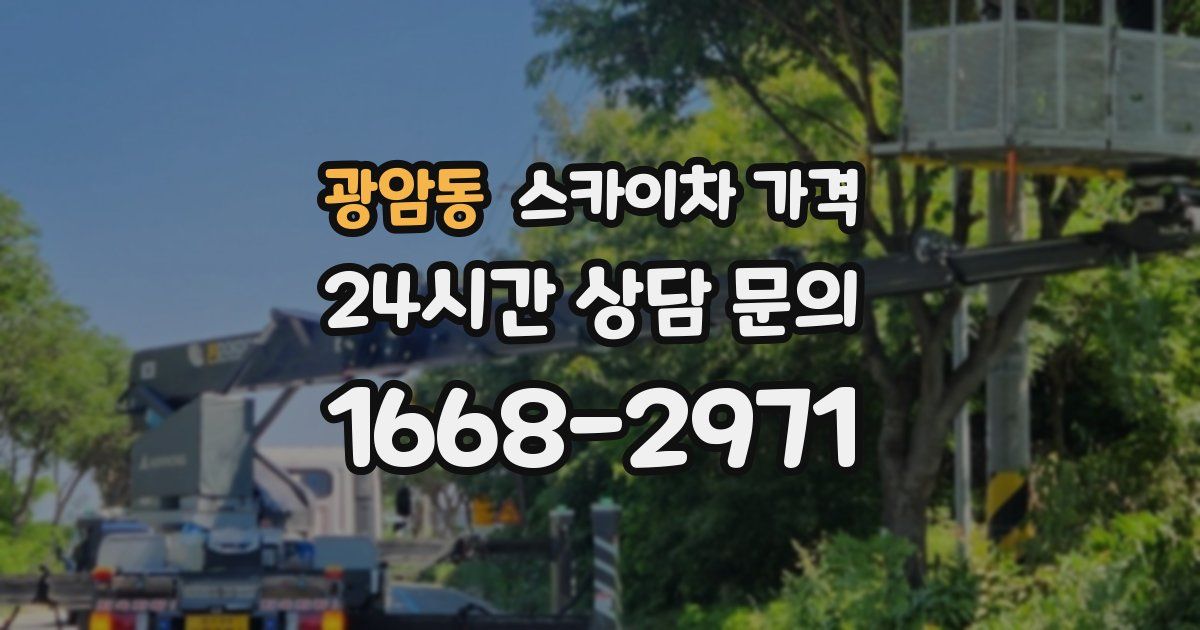 광암동 스카이차 가격