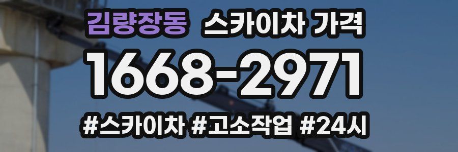 김량장동 스카이차 가격