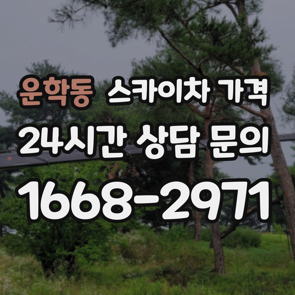 운학동 스카이차 가격