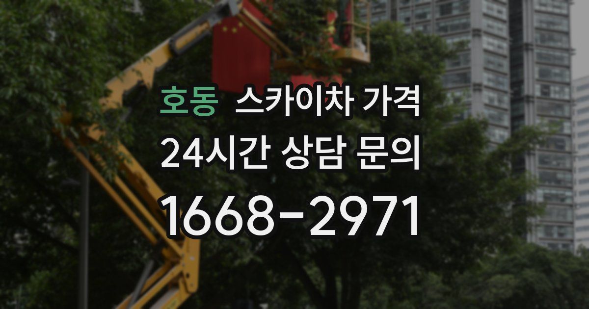 호동 스카이차 가격