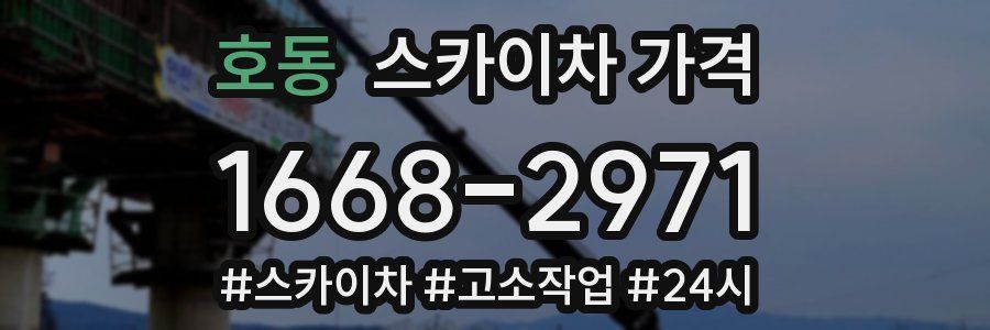 호동 스카이차 가격