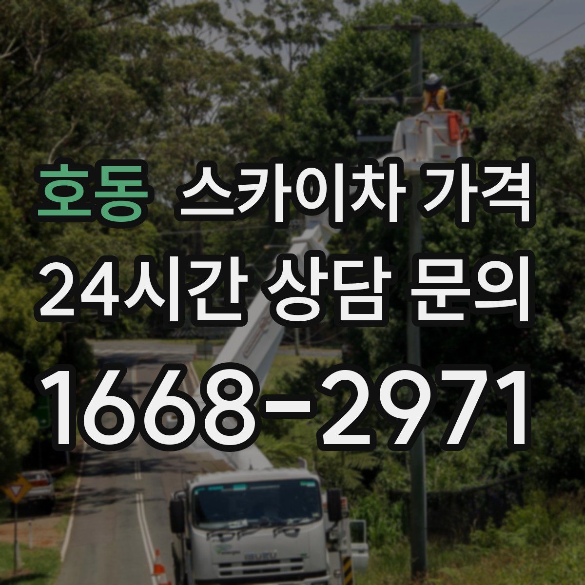 호동 스카이차 가격